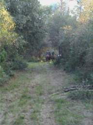 02-11-10 Pineta Classe 01.JPG
