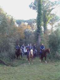 02-11-10 Pineta Classe 02.JPG