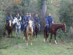 02-11-10 Pineta Classe 03.JPG