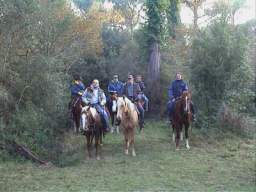 02-11-10 Pineta Classe 04.JPG
