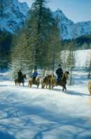 Inverno2001_04.JPG: ��