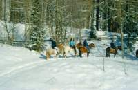 Inverno2001_05.JPG: ��