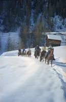 Inverno2001_09.JPG: ��