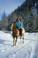 Inverno2001_15.JPG: ��