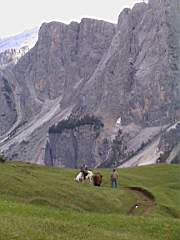 Badia2001_38.JPG