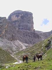 Badia2001_53.JPG